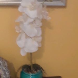 Meet your Posher, Alma